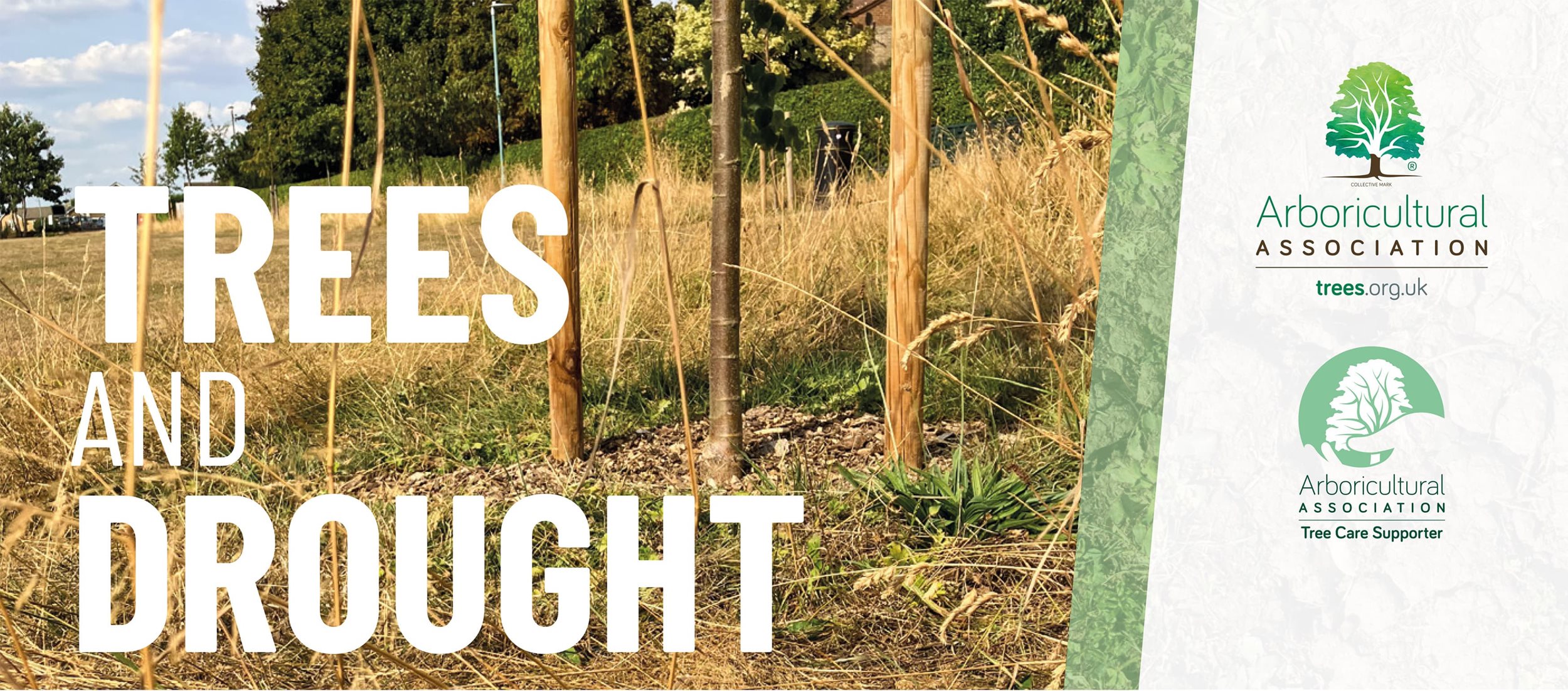 Arboricultural Association Trees and Drought